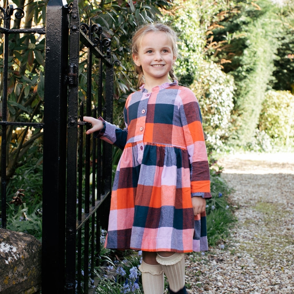Pink Chicken Multicolor Plaid Dress